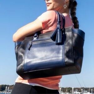 Coach Bag Legacy Colorblock Candace Carryall
Women’s